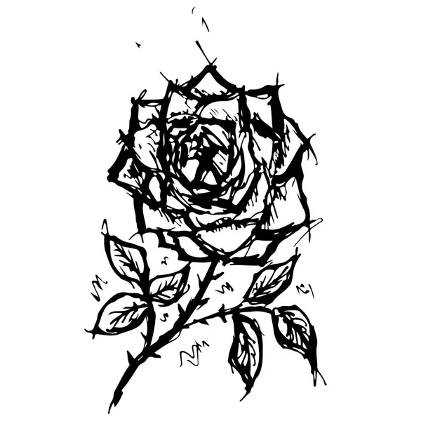 Vázlat vektoros grafika, design virág mintával. Virág rózsa természetes design. — Stock Vector