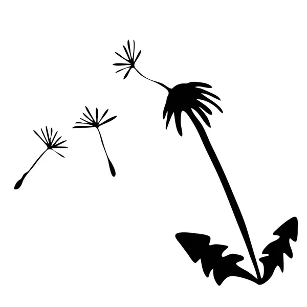 Ескіз векторної графіки з квітковим візерунком для дизайну. Квіткова кульбаба природного дизайну . — стоковий вектор