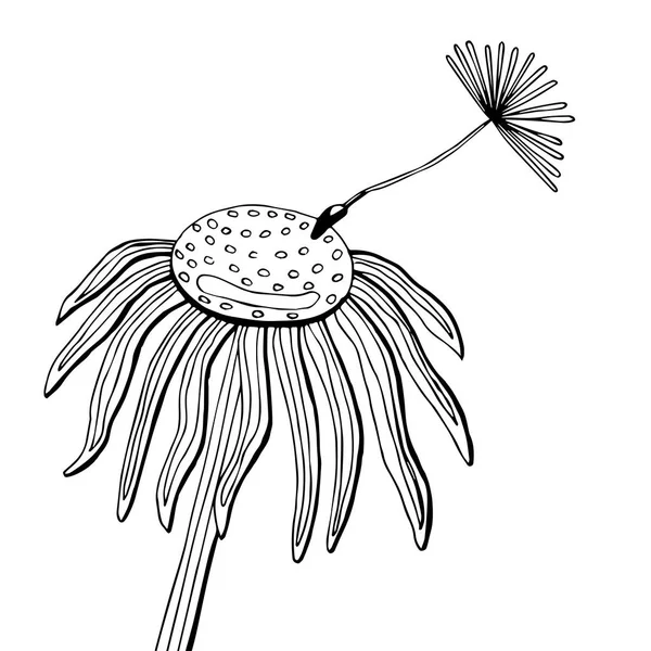 Sketch vektör grafik tasarımı için çiçek desenli. Çiçek karahindiba doğal tasarım. — Stok Vektör