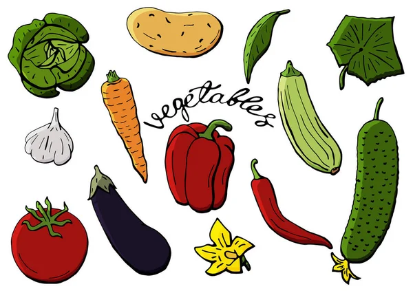 病媒蔬菜图标设置为卡通风格。为餐馆菜单、市场标签收集农产品. — 图库矢量图片