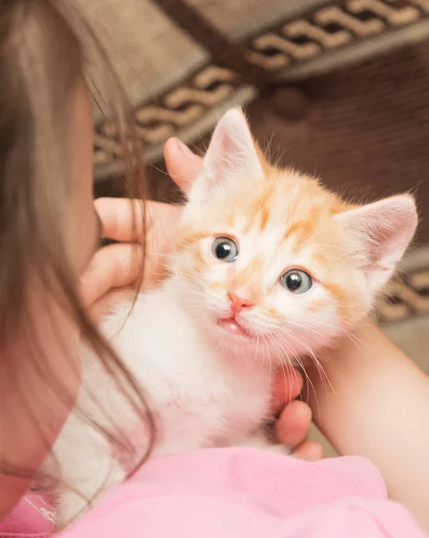 小さな女の子を保持する彼女の子猫の腕し、抱擁. — ストック写真