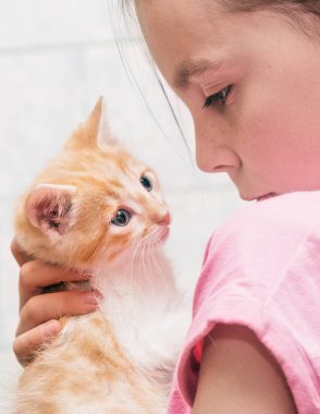 Küçük bir kız onu de kedi silah ve hugs tutar.