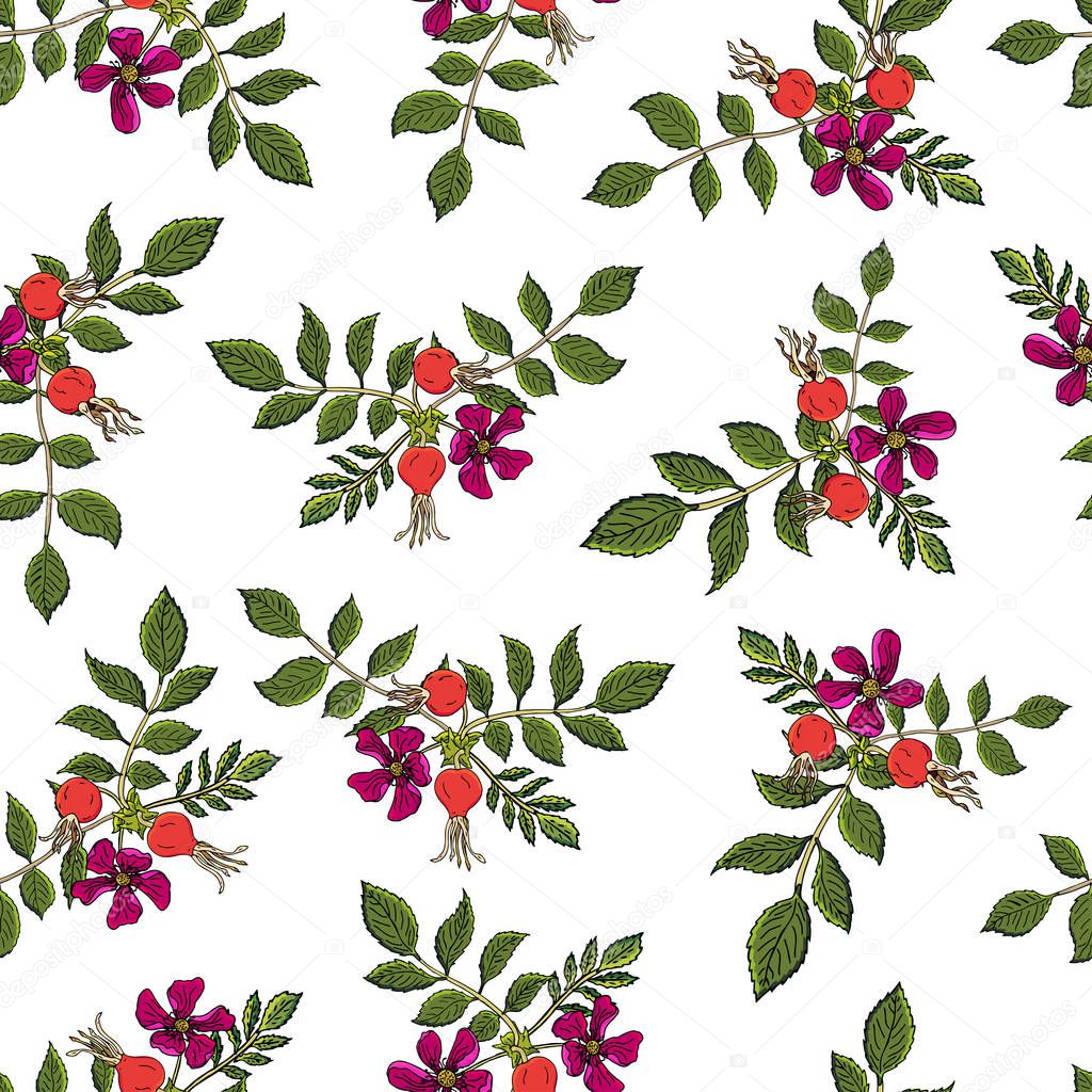 Dogrose berries seamless pattern. Vector background wild rose fruits with green leaf for design label syrup, tea packaging or printing fabric.