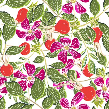Dogrose çilek seamless modeli. Vektör arka plan vahşi meyveler tasarım etiket şurubu, çay paketleme veya kumaş yazdırmak için yeşil yaprak ile yükseldi.