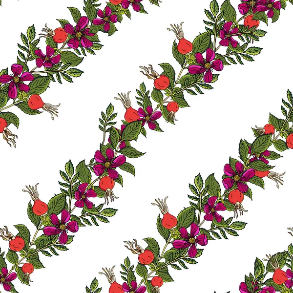 Heckenrose Beeren nahtlose Muster. Vektor Hintergrund Wildrose Früchte mit grünem Blatt für Design-Etikett Sirup, Tee-Verpackung oder Druckstoff. — Stockvektor