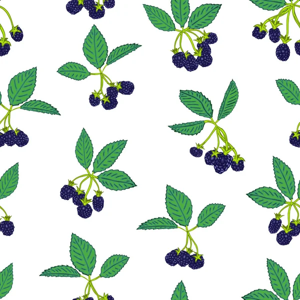 黑莓或覆盆子的无缝模式。浆果背景纺织品, 墙纸, 一套图纸, 封面, 表面, 打印, 包装, 剪贴簿. — 图库矢量图片
