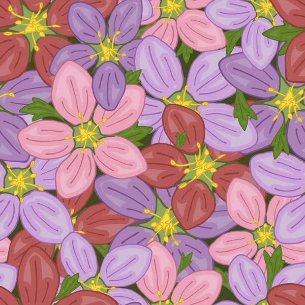 Wektor bezszwowy wzór retro, kwiat saxifrage. Wypełnienia, Tapety, tekstury powierzchni. — Wektor stockowy