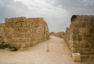 Dünya tarihi mirası Shivta Necef Çölü'nde