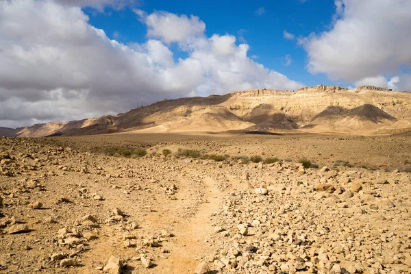Vista Del Desierto Del Cráter Ramón Del Sur Israel Durante — Foto de Stock