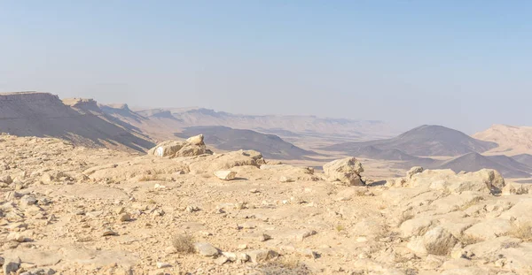 旅行在以色列为沙漠风景和假期 — 图库照片