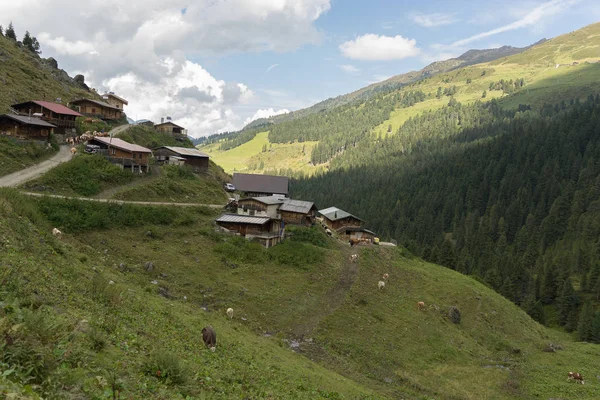 Extremurlaub Den Alpen Wandern Auf Bergwanderwegen — Stockfoto