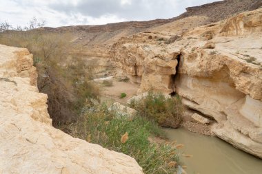 Kış Çölü İsrail'in turizm trekking