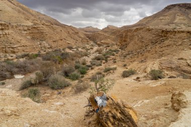 Kış Çölü İsrail'in turizm trekking