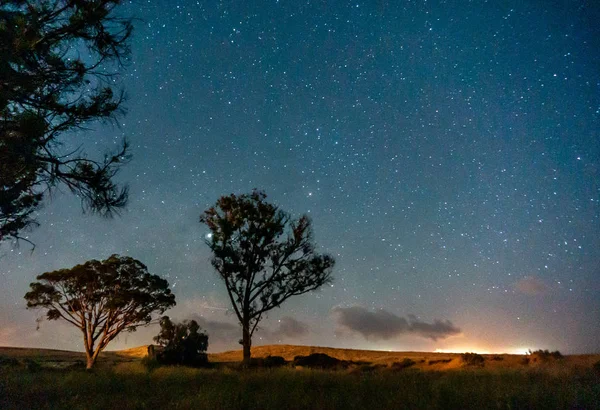 Árvores sob começa no deserto de oásis israelita — Fotografia de Stock