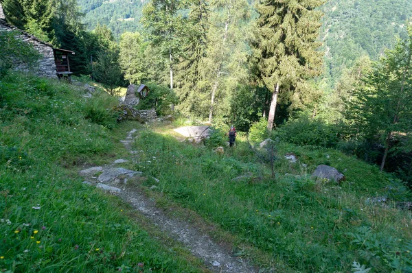 阿尔卑斯山徒步旅行在美丽的风景旅游夏天 — 图库照片