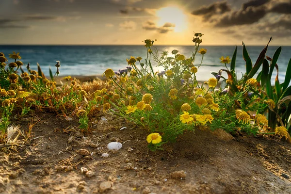 Romantischer Sonnenuntergang Der Küste Des Mittelmeerurlaubs — Stockfoto