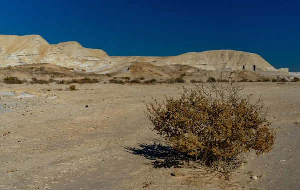 Пустеля Ніцана Подорожує Ізраїлі — стокове фото