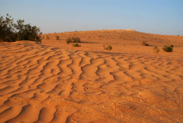 Desierto Arena Verano Arabia Oriente Medio — Foto de Stock