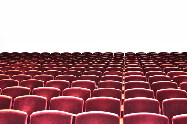 Set Empty Chairs Lecture Hall Presentation — Stock Photo, Image