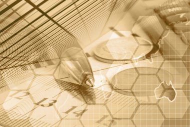 İş geçmişi grafik, para ve harita.