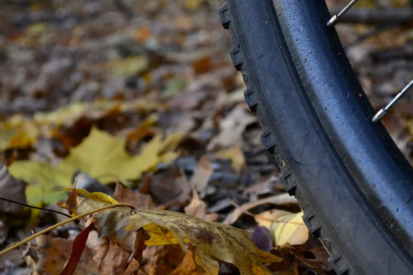 Bicicleta Outono Fundo Fitness Abstrato — Fotografia de Stock