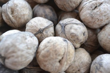 Fındık çok soyut gıda arka plan olarak.