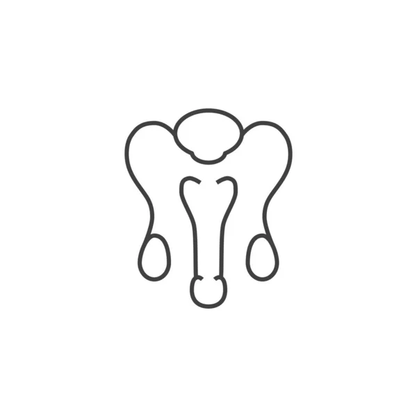 Male Reproductive System Vector Line Icons — Stock Vector