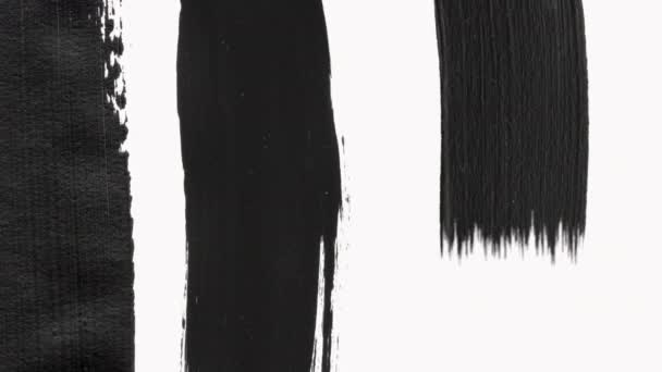 Résumé Paint Brush Transition Reveal with Texture. Transparence Alpha Channel — Video