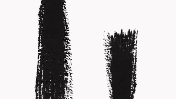 Transición abstracta del pincel de pintura Revelar con textura. Canal alfa-Transparencia — Vídeo de stock