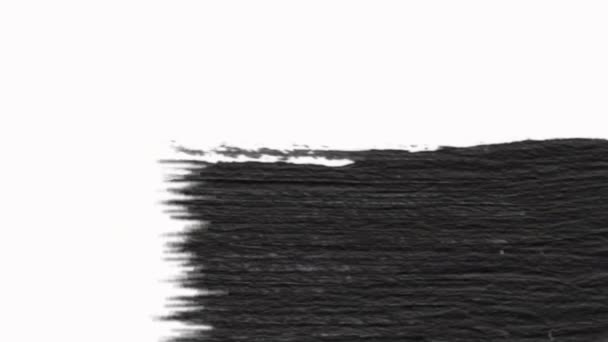 Transición abstracta del pincel de pintura Revelar con textura. Transparencia del canal alfa — Vídeos de Stock