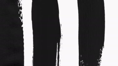 Çalı Fırçası Şeffaflıkla Ortaya Çıktı - Luma mat.