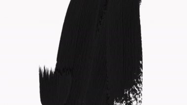 Çalı Fırçası Şeffaflıkla Ortaya Çıktı - Luma mat.