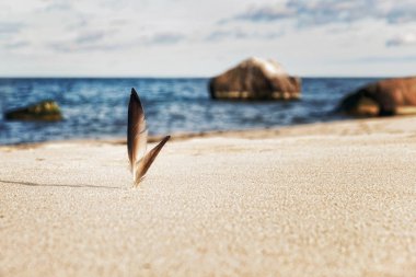 tüyler tarafından Baltık Denizi