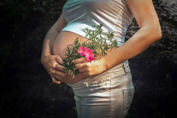 Hamilelik kadın ve kırmızı çiçek