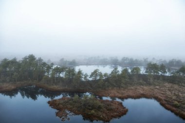Bataklık gölde yansıması