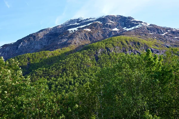Przepięknych Górskich Norwegii — Zdjęcie stockowe