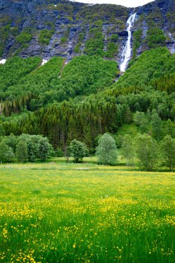 çayır ve watergate Norveç'te