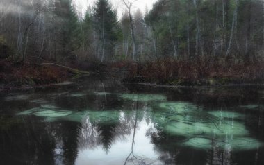 Estonya güzel göl. Siniallikad