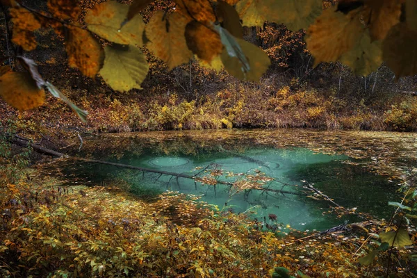 Krásná Jezera Estonsku Siniallikad — Stock fotografie