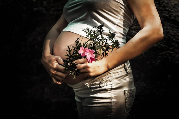 Pregnancy — Stock Photo, Image