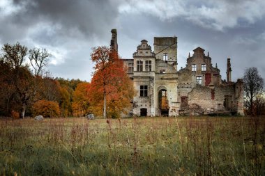 Estonya 'da güzel altın sonbahar