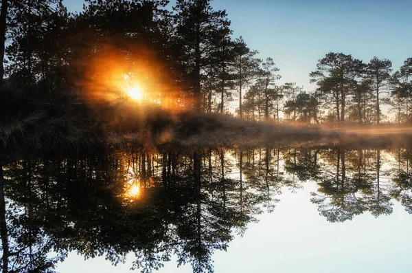 Hermosa Mañana Pantano — Foto de Stock