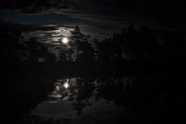 Bataklıkta güzel, karanlık bir gece