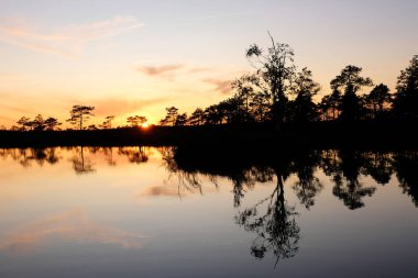 Gölde güzel bir suset