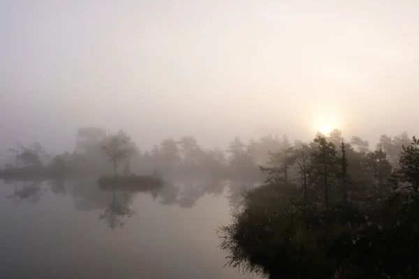 Туманный Закат Болоте — стоковое фото