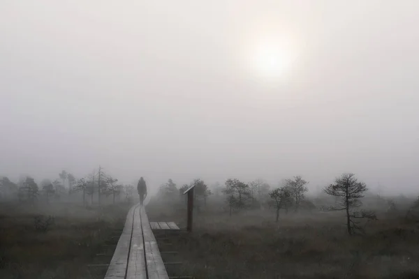 Camino Niebla Pantano — Foto de Stock