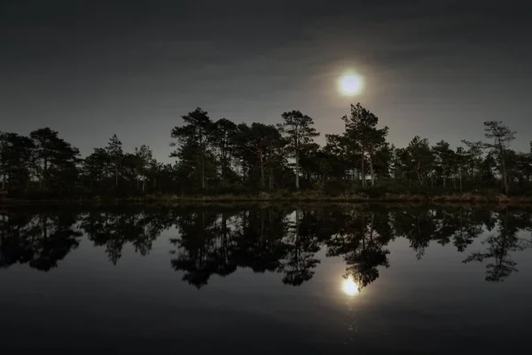 Лунная Ночь Болоте — стоковое фото