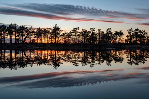 Úchvatně Krásný Výhled Večerní Oblohu Nad Lesním Jezerem — Stock fotografie