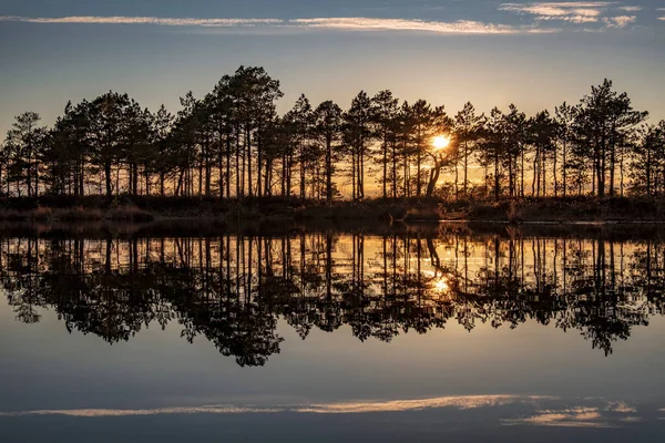 Impresionante Hermosa Puesta Sol Vista Sobre Lago Del Bosque — Foto de Stock