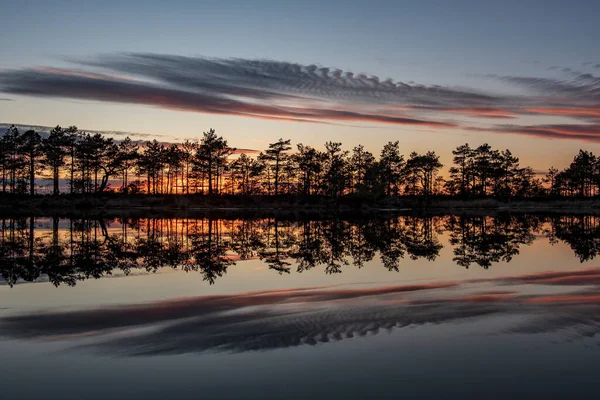 Úchvatně Krásný Výhled Večerní Oblohu Nad Lesním Jezerem — Stock fotografie